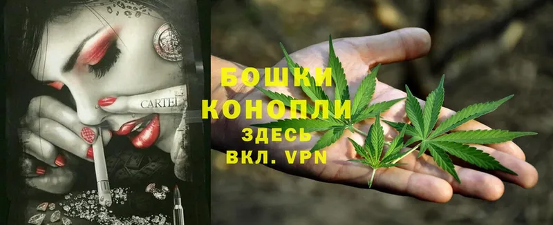 Конопля OG Kush  Балашов 